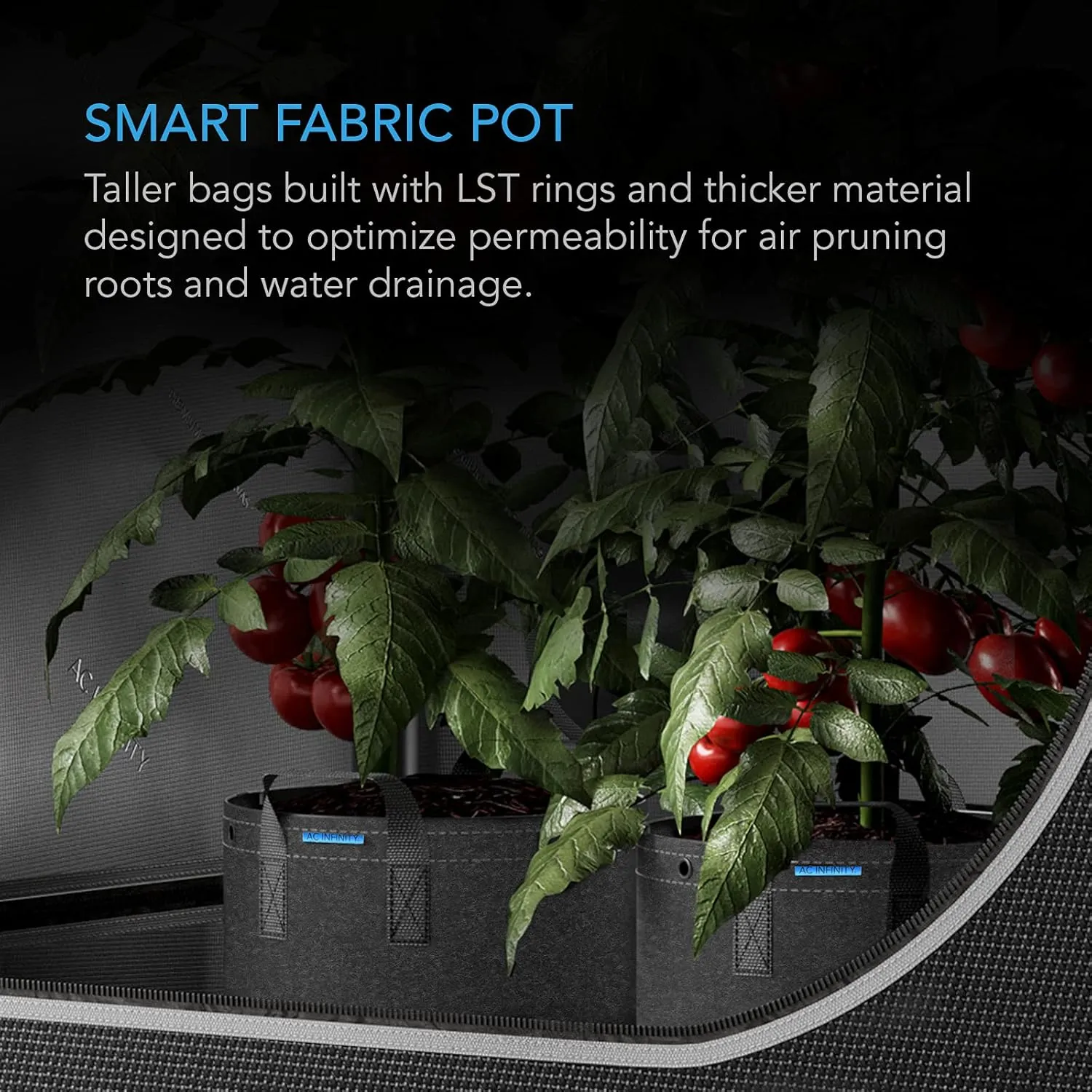 AC Infinity Heavy Duty Fabric Pots, 7 Gallon Aeration Grow Bags 5-Pack with 500G Thick Nonwoven Fabric and Multi-Purpose Rings, for Low Stress Plant Training Fruits, Vegetables, and Flowers
