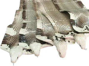 Cobra Snake Skin Snake Leather Hide Splitting Snakeskin with Head Cobra Taxidermy Real Snake Hide Natural 55 Length x5.5 Width Inches One Piece
