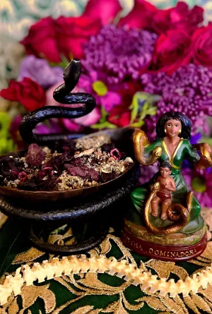 Filomena Lubana Herbs   Domination   Santa Marta Dominadora   Marta La Culebra   Saint Martha The Dominator   Dominatrix