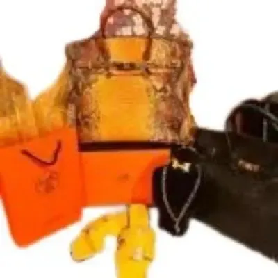 H Lux Crocodile Bags