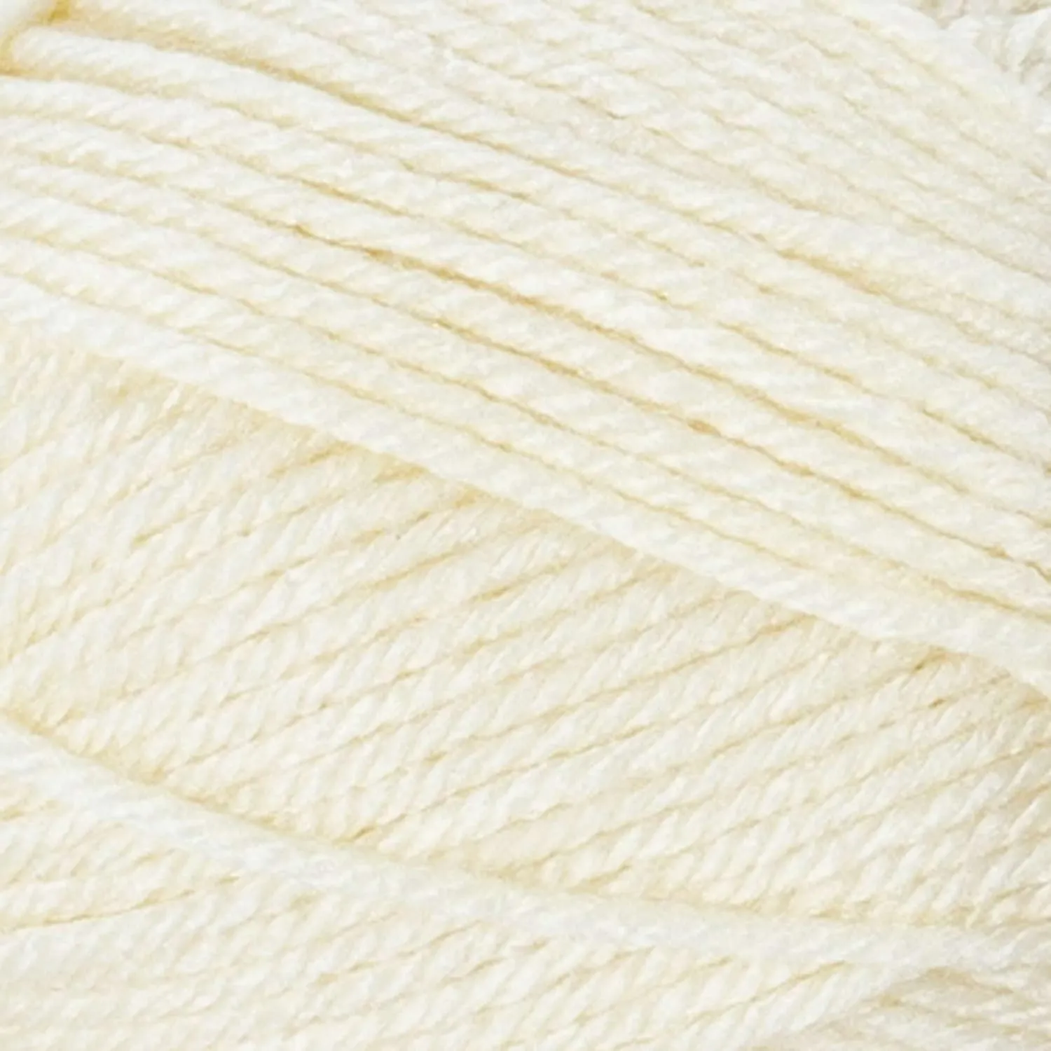 Lion Brand Basic Stitch Anti-Pilling Ecru 202-098 (6-Skeins - Same Dye Lot) Worsted Medium #4 Acrylic Yarn for Crocheting and Knitting with Project Bag