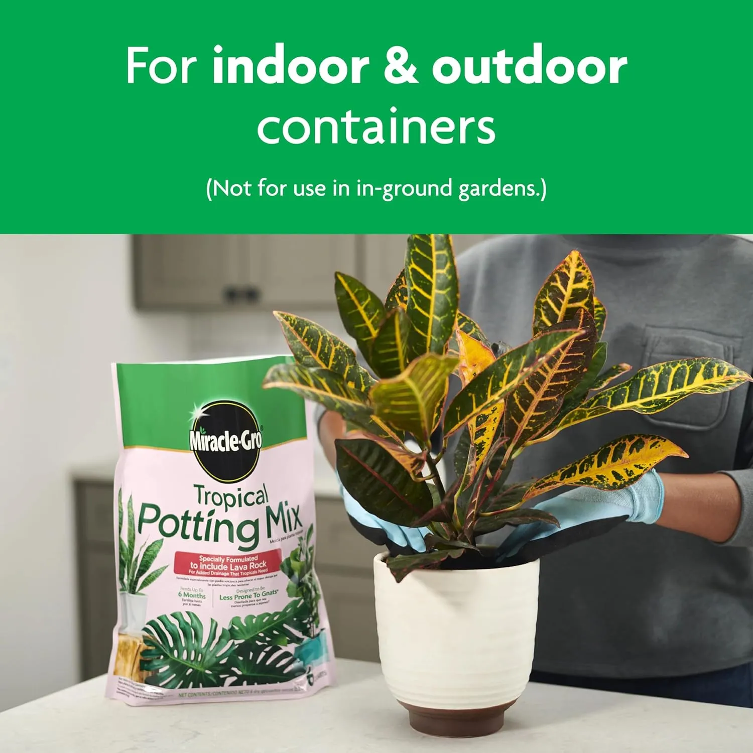 Miracle-Gro Tropical Potting Mix, For Container Plants, Use with Snake Plants, Spider Plants, Pothos, Monstera, 6 qt., 3-Pack