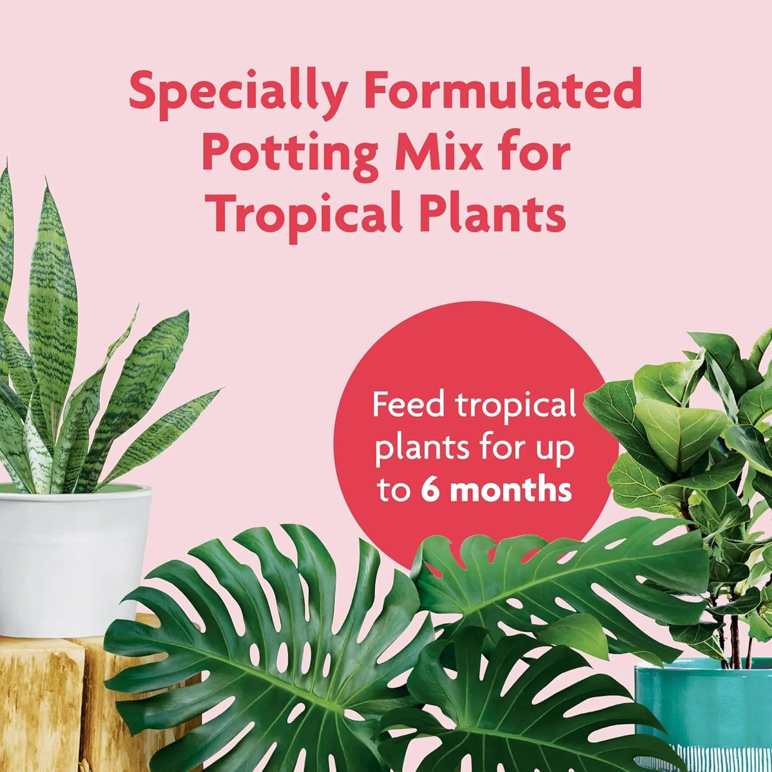 Miracle-Gro Tropical Potting Mix, For Container Plants, Use with Snake Plants, Spider Plants, Pothos, Monstera, 6 qt., 3-Pack