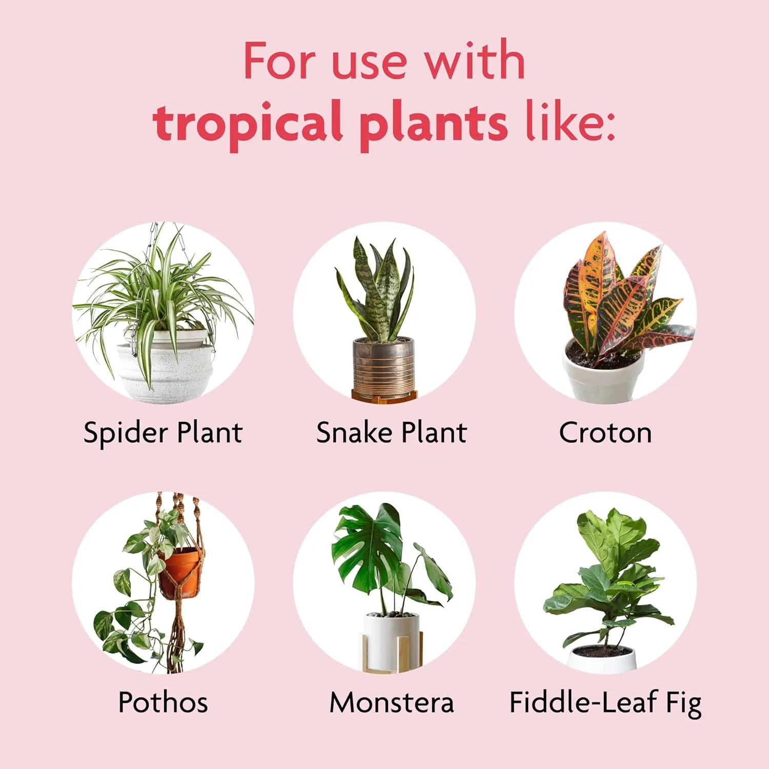 Miracle-Gro Tropical Potting Mix, For Container Plants, Use with Snake Plants, Spider Plants, Pothos, Monstera, 6 qt., 3-Pack
