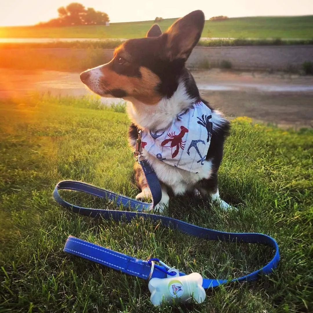 Pogi’s Dog Poop Bags - 50 Unscented Rolls (750 Doggie Poop Bags)   2 Dog Poop Bag Holders for Leashes - Leak-Proof Dog Waste Bags - Ultra Thick, Extra Large Poop Bags for Dogs