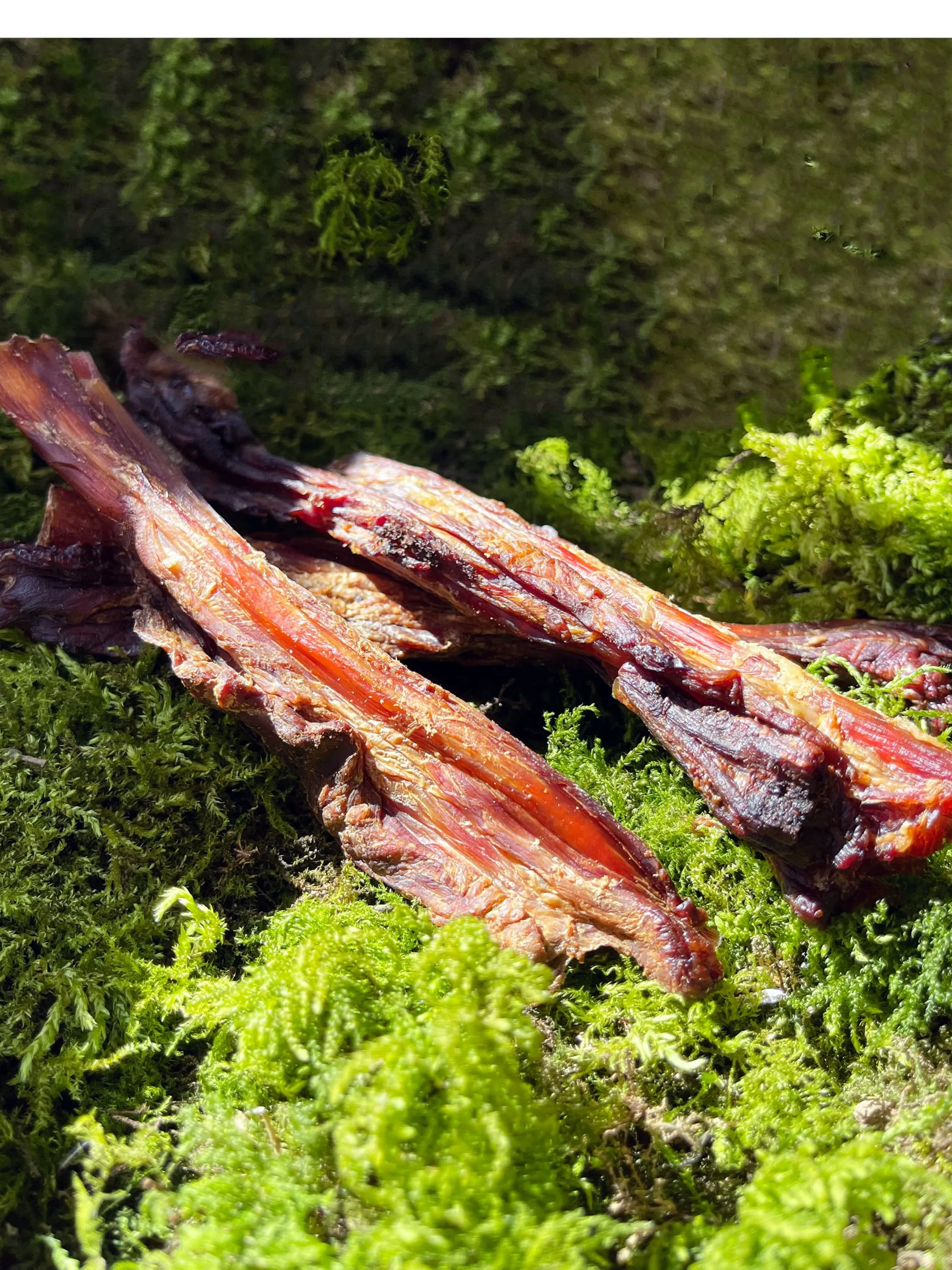 Pure Venison Strips