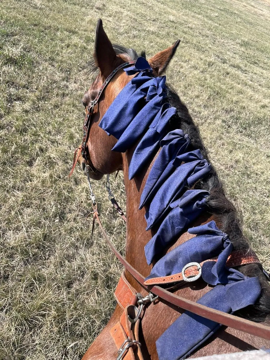 Ranch Hand Horse Mane Bags - Protect Horse's Mane from Wind, Sun & Mud - Prevents Tangles, Rubbing Out and Breakage - Made with Nylon - Easy to Use and Washable - Set of 6 (Dark Blue)