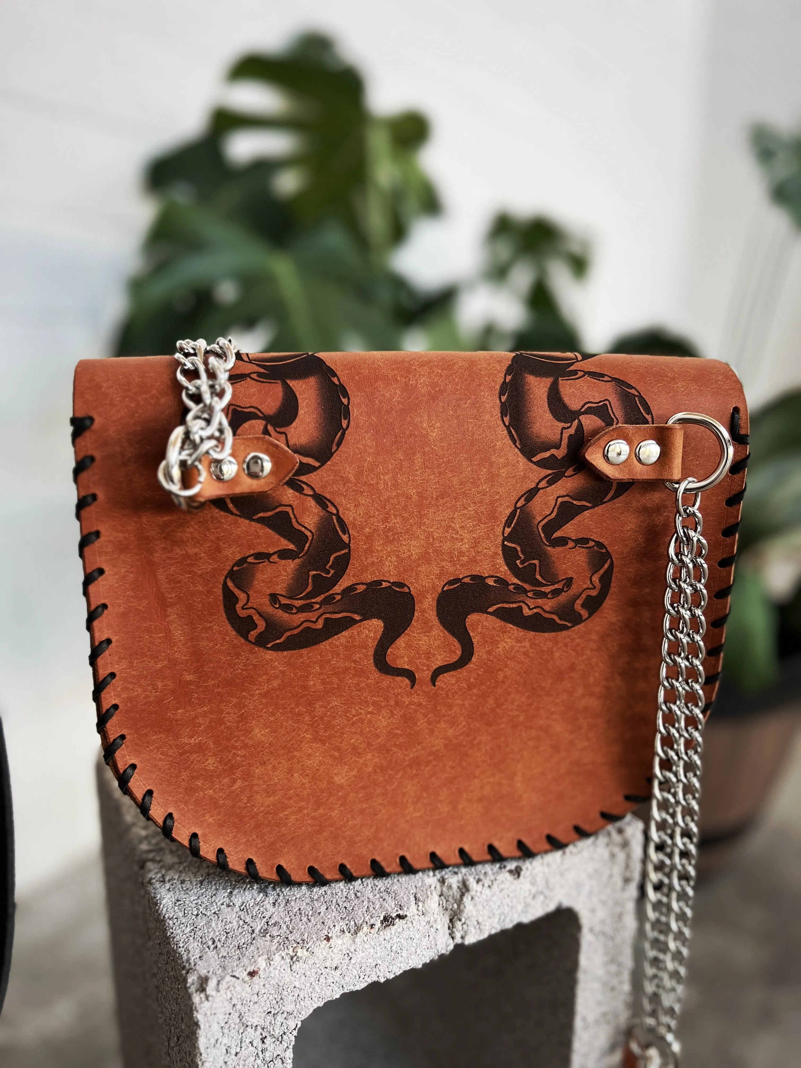 The Joplin Bag: Snakes 🐍